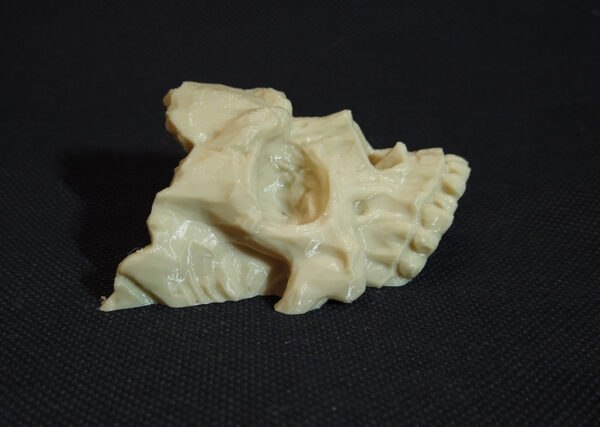 SKULL - Doniczka (naścienna) - obrazek 6